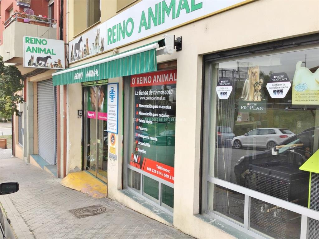tienda animales acoruna reino animal